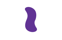 purple squiggle filled single